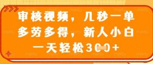 最新审核视频,几秒一单,多劳多得,新人小白一天轻松3张【揭秘】-风淘社