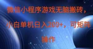 微信小程序游戏无脑搬砖，单设备日入2张+，可矩阵操作-风淘社