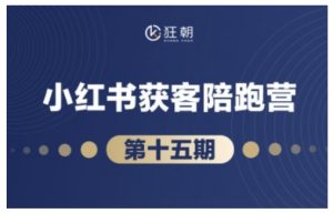抖音小红书视频号短视频带货与直播变现(11-16期),打造爆款内容,实现高效变现(更新)-风淘社