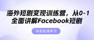 海外短剧变现训练营，从0-1全面讲解Facebook短剧-风淘社