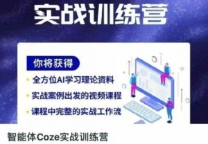 智能体Coze实战训练营,掌握新时代效率工具,让你人生即刻开挂-风淘社