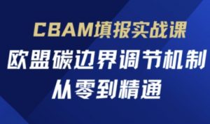 CBAM填报实战课，欧盟碳边界调节机制，从零到精通-风淘社