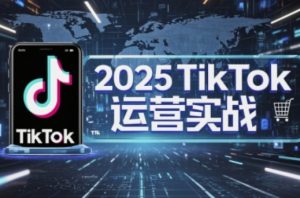 2025TikTok电商运营,掌握TikTok店铺运营核心技巧,实现低成本高转化-风淘社