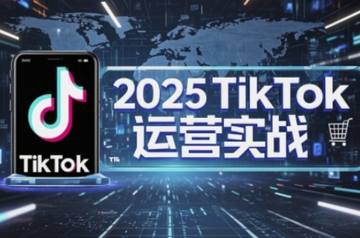 2025TikTok电商运营，掌握TikTok店铺运营核心技巧，实现低成本高转化-风淘社