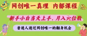 网创唯一真理,内部课程,新手小白当天上手,月入5位数,普通人通过网创唯一的机会【揭秘】-风淘社