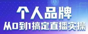 个人品牌:从0到1搞定直播实操,用直播为你的个人品牌赋能,六大实操板块,放大个人影响力-风淘社