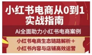 2025小红书电商全链路运营，Ai全面助力小红书电商案例-风淘社