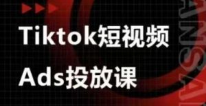 Ads视频投放课,tiktok短视频广告投放课-风淘社