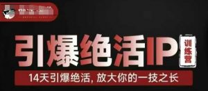 引爆绝活IP训练营,14天引爆绝活,放大你的一技之长-风淘社