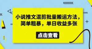 小说推文混剪批量搬运方法，简单粗暴，单日收益多张-风淘社