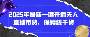 2025年最新一键开播无人直播带货，保姆级干货-风淘社
