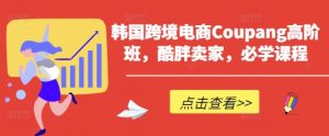 韩国跨境电商Coupang高阶班,酷胖卖家,必学课程-风淘社