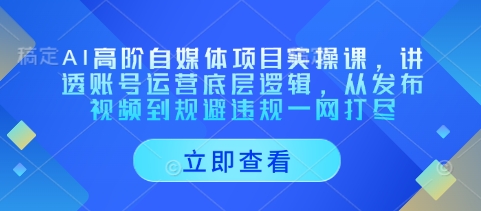 AI高阶自媒体项目实操课,讲透账号运营底层逻辑,从发布视频到规避违规一网打尽-风淘社
