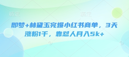 即梦+林黛玉完爆小红书商单,3天涨粉1千,靠怼人月入5k+-风淘社