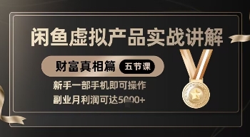 精品!闲鱼虚拟产品实战讲解,新手一部手机即可操作,副业月利润可达5k+-风淘社