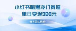 小红书冷门”暗黑”赛道，单日收益多张-风淘社