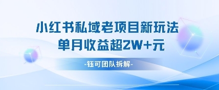 小红书私域项目新玩法,单月变现过W+-风淘社