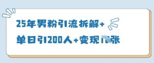 25年男粉引流拆解+单日引200人+变现多张-风淘社