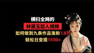 横扫全网的林黛玉怼人视频，如何做到九条作品涨粉7.8万，轻松日变现1k-风淘社