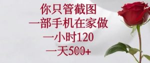 你只管截图，一部手机在家做，苹果安卓都可以，一小时120，一天5张+【揭秘】-风淘社