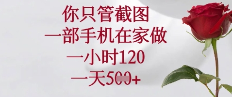 你只管截图,一部手机在家做,苹果安卓都可以,一小时120,一天5张+【揭秘】-风淘社