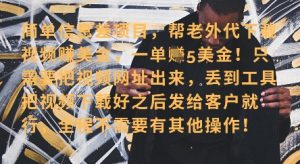 零门槛挣美金,海外视频代下服务,单笔收益40+,小白也能轻松上手-风淘社