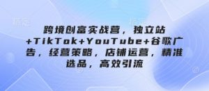 跨境创富实战营,独立站+TikTok+YouTube+谷歌广告,经营策略,店铺运营,精准选品,高效引流-风淘社