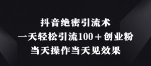 抖音绝密引流术,一天轻松引流100+创业粉,当天操作当天见效果-风淘社