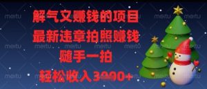 解气又挣钱的项目，最新违章拍照挣钱，随手一拍，轻松收入多张【揭秘】-风淘社