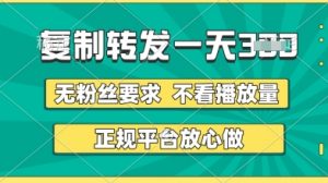 转发视频一天3张+,正规平台放心做,不看播放量,无粉丝要求,随时随地挣收益【揭秘】-风淘社