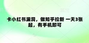 卡小红书漏洞,做知乎拉新 一天3张起,有手机即可-风淘社
