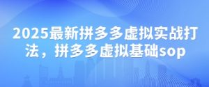 2025最新拼多多虚拟实战打法,拼多多虚拟基础sop-风淘社