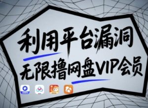 利用平台漏洞,无限撸网盘VIP会员,用户亲测有效!【漏洞原理+操作演示】-风淘社