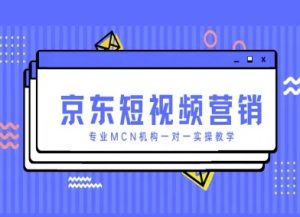 京东短视频营销项目,专业MCN机构一对一实操教学-风淘社