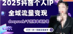 2025个人IP短视频带货(进阶版)全域流量变现,deepseek千川爆单进阶课-风淘社