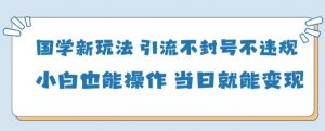 国学新玩法，引流不封号不违规小白也能操作，当日就能变现-风淘社