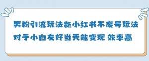 男粉引流玩法(新)，玩法友好做的好当天就能变现-风淘社