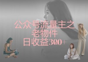 公众号流量主之老物件日收益300+-风淘社