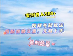 微信视频号最新玩法，表情包搭配情感文案，2分钟一条原创作品，简单好上手，轻松日入几张-风淘社