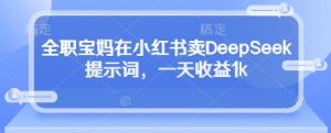 全职宝妈在小红书卖DeepSeek提示词，一天收益1k-风淘社