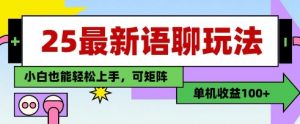 25年最新语聊玩法，纯手工，单机收益100+，小白也能轻松上手，可矩阵操作-风淘社