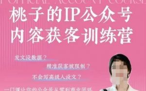 桃子IP公众号内容获客训练营(第3期),一门让你公众号从0到商业闭环的课程-风淘社