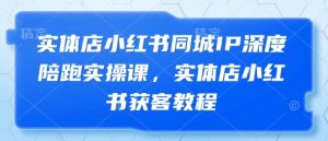 实体店小红书同城IP深度陪跑实操课,实体店小红书获客教程-风淘社
