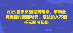 2025拼多多强付费玩法,带领全网走强付费新时代,玩法投入不超千元即可起店-风淘社