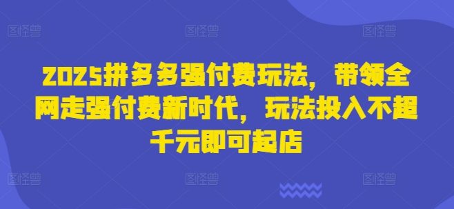 2025拼多多强付费玩法,带领全网走强付费新时代,玩法投入不超千元即可起店-风淘社
