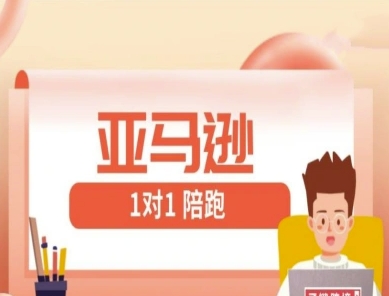 亚马逊1对1陪跑课(FBA/FBM精铺)跨境亚马逊教程-风淘社