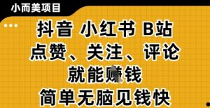 小而美的项目,抖音小红书B站视频点赞、关注、评论就能挣钱,简单无脑立见收益,妥妥的零撸项目【揭秘】-风淘社