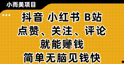 小而美的项目,抖音小红书B站视频点赞、关注、评论就能挣钱,简单无脑立见收益,妥妥的零撸项目【揭秘】-风淘社