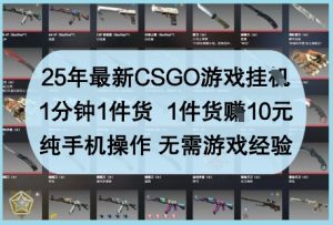 25年最新CSGO游戏挂G，1分钟1件货，1件货挣10元，纯手机操作，无需游戏经验【揭秘】-风淘社