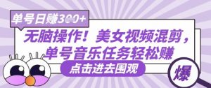 无脑操作!美女视频混剪,单号音乐任务轻松日入3张+-风淘社